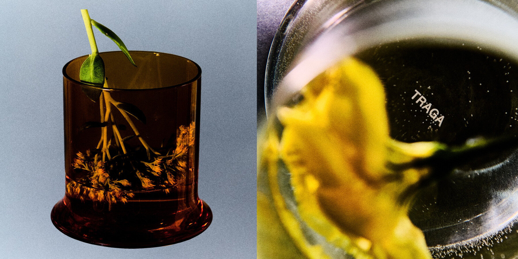 melt-glass-federico-fontanella-traga-drinking-glass-optical-distortion-designboom-1800-3
