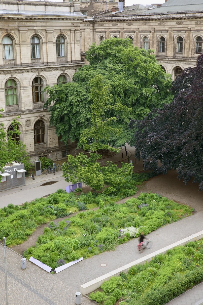 pollinator pathmaker brings buzzing bees back to berlin with foliage-filled artworks - 5