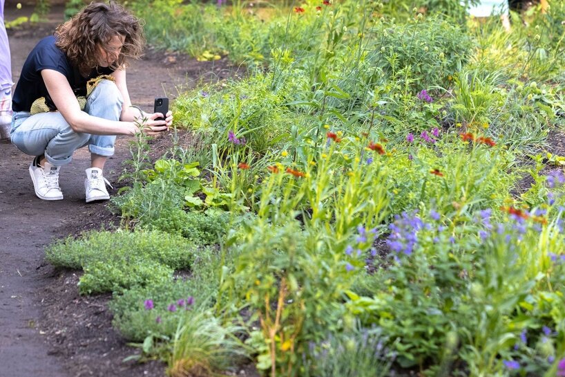pollinator pathmaker brings buzzing bees back to berlin with foliage-filled artworks - 7