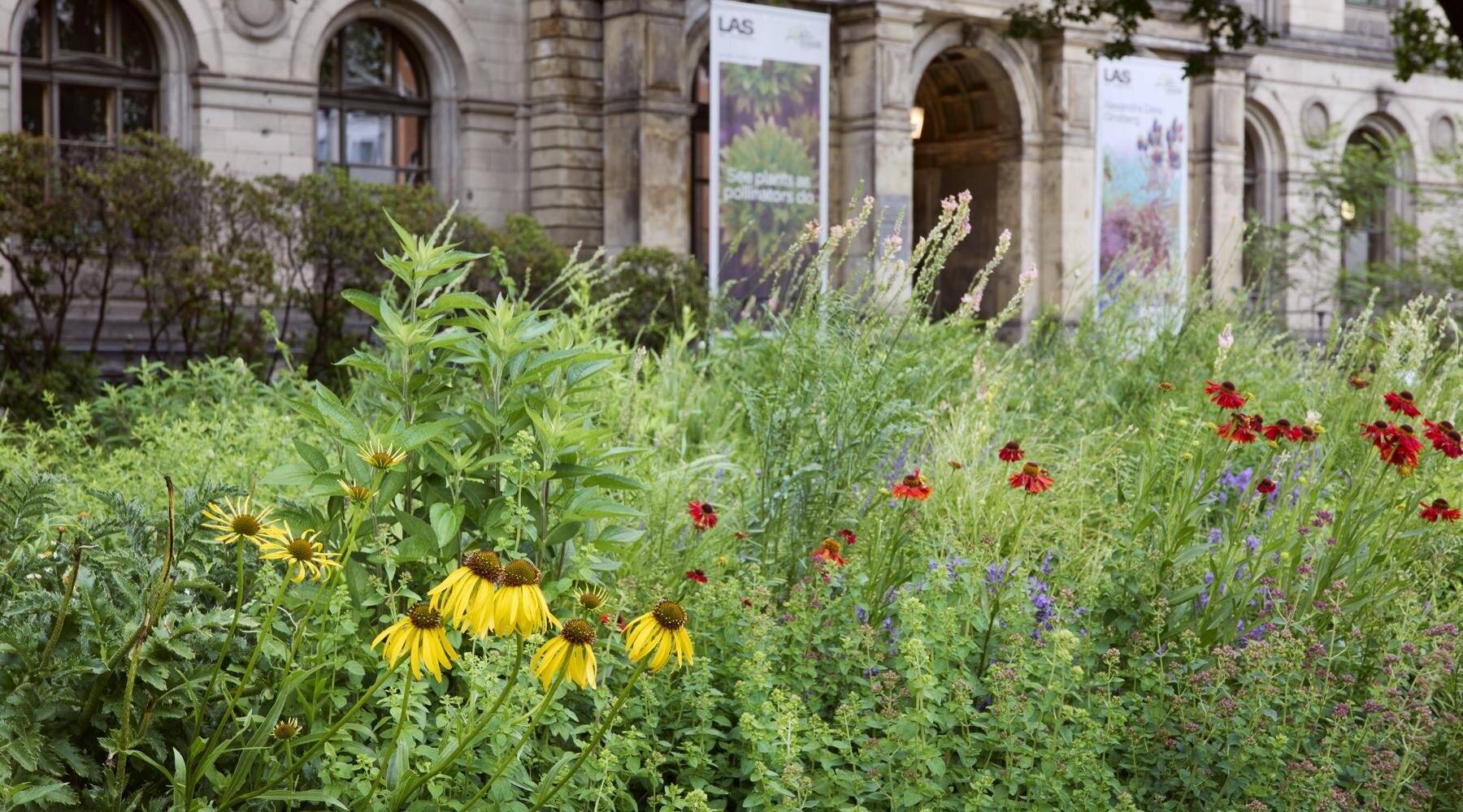 pollinator-pathmaker-designboom-fullWidth-01