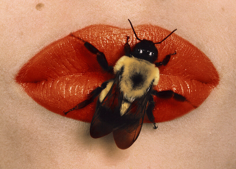 six decades of irving penn’s fashion photography are now on view in paris - 1